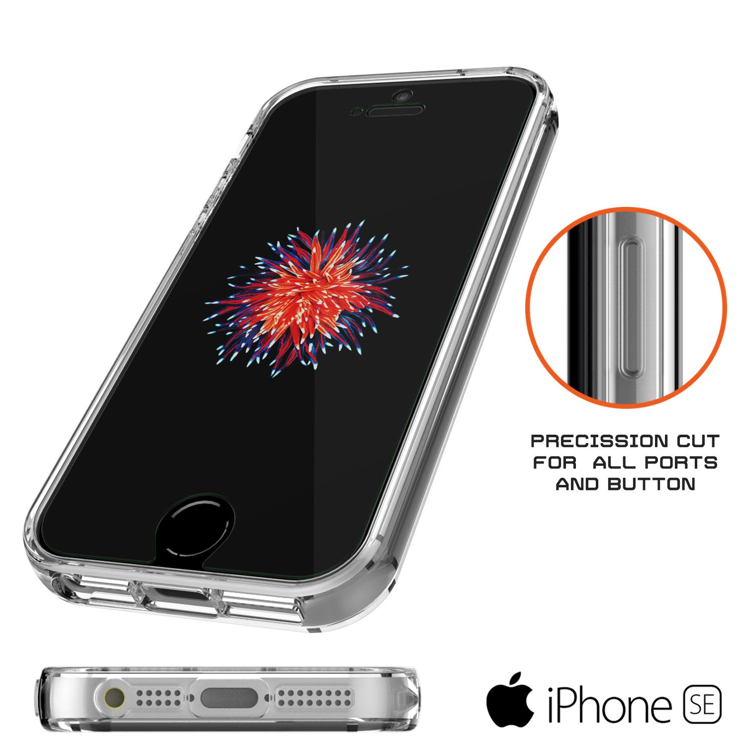 iPhone 5S grigio: nuova variante cromatica in arrivo iPhone 5S grigio: nuova variante cromatica in arrivo