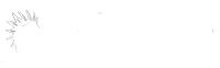 punkcase